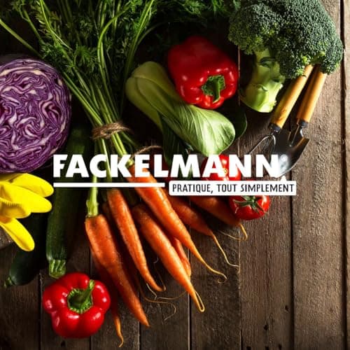 Fackelmann 08024 Filtre hotte, Filtre charbon hotte, Charbon actif, Polyester, Noir, 47 cm x 57 cm