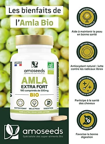 Amla BIO 180 comprimés de 500mg | Peau, Cheveux, Digestion | Amalaki, Groseille Indienne | Qualité Supérieure