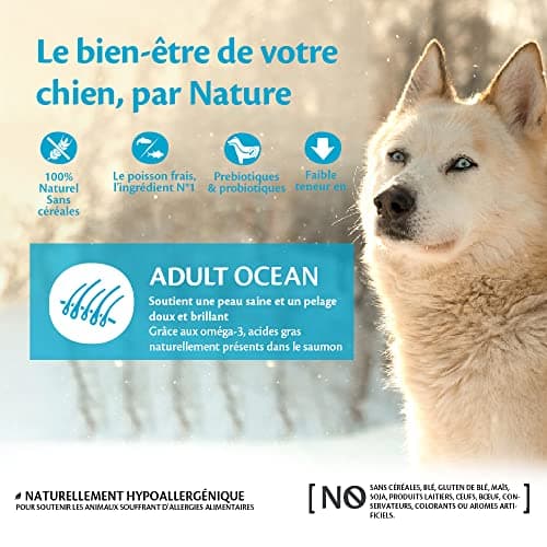 Wellness Core Ocean, Croquettes pour Chien de Grande et Moyenne Taille, Naturelles et Sans Céréale, Saumon/Thon, 10 kg