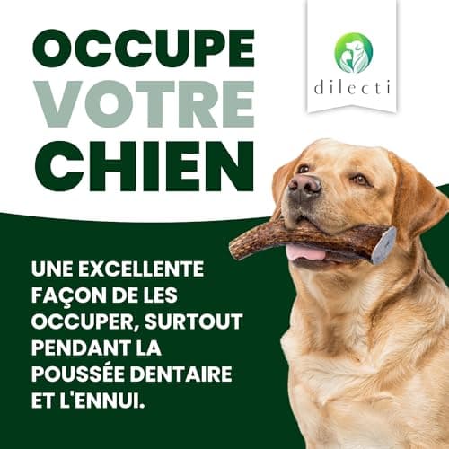 Bois de Cerf pour Chiens - Bois de Cerf pour Chiens Fabriqués à Partir de Bois de Cerf Rouge Naturel et Sélectionné avec Soin, Riche en Protéines et en Minéraux.- S (50-75g), Paquet de 3