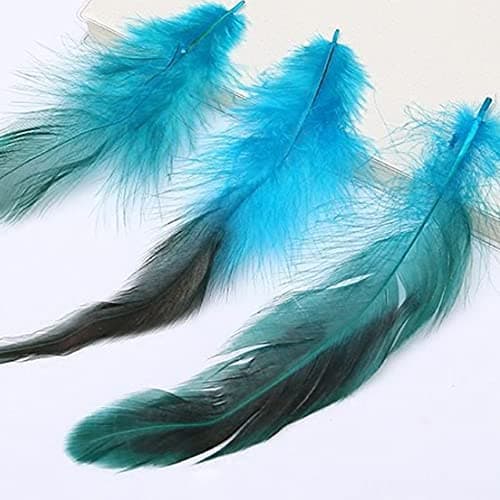 Csirnto Plumes 200 Pièces Naturelles Plumes de Coq Artisanat Plumes Décoration Coq Plume Plumes de Poulet Plumes de Faisan Plumes Naturelles pour Artisanat DIY Dream Catcher Costume Décoration