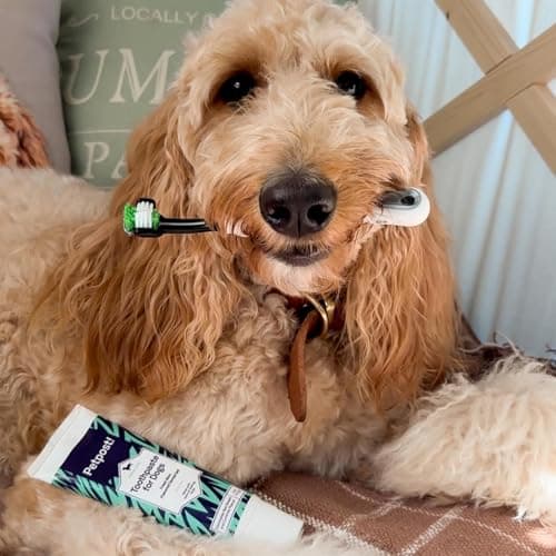 Petpost | Dentifrice pour Chiens - Gel Dentaire à Base d'huile de Coco et de Bicarbonate de soude pour éliminer naturellement la Mauvaise haleine - Dites Adieu à la Plaque et aux Caries - Goût Menthe