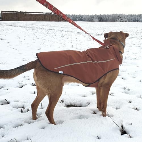 Mile High Life | Imperméable pour Chien | Vêtements pour Animaux de Compagnie Ajustables et Waterproof | Veste de Pluie Légère avec Bande Réfléchissante | Facile à Enfiler (Marron, S)