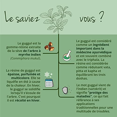 Guggul PREMIUM Vegavero® | 120 Gelules (4 mois) | 5% de Guggulstérones | Cholesterol + Antioxydant Puissant l DOSE LA PLUS ELEVEE: 500 mg d'Extrait par Gélule | Sans Additifs et VEGAN
