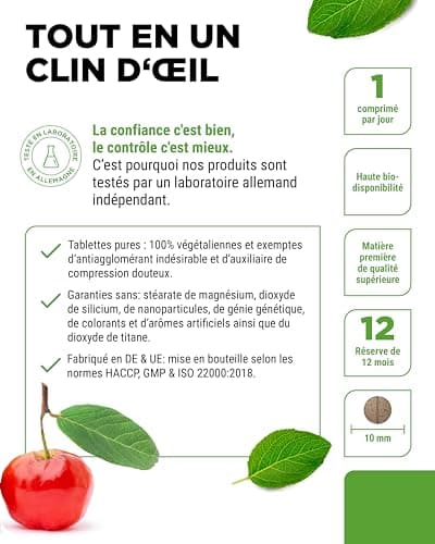 Fer - 365 comprimés avec 40 mg de fer pur + vitamine C naturelle - Matière première de qualité supérieure : bisglycinate de fer (chélate de fer) - Hautement dosé - Végétalien