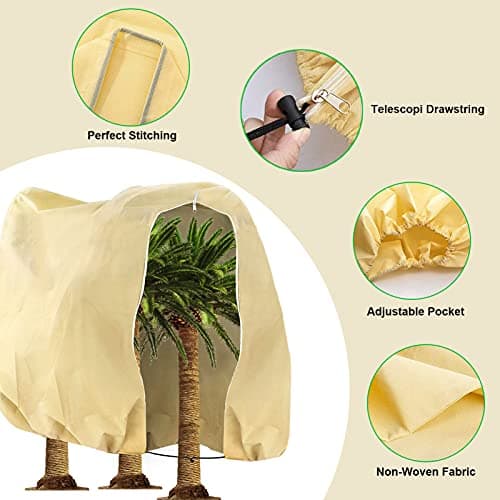 Tesmotor Housse D'hivernage, Housse de Protection pour Plantes, Voile d'hivernage économique Grande Capacité 80g/m2 - 360 x 250CM