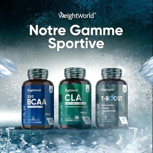 Créatine Monohydrate en Poudre 500g - Créatine Monohydrate Micronisée 165 Portions