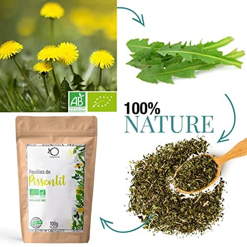 ORIGEENS TISANE PISSENLIT BIO 100g Origine Europe | Infusion pissenlit bio, tisane detox et diurétique | Feuilles de pissenlit bio