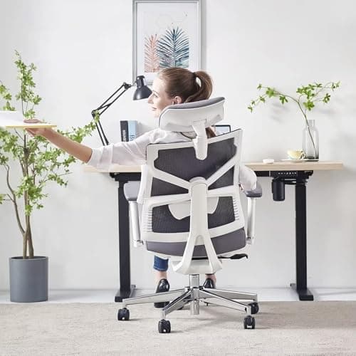 HOLLUDLE Chaise de Bureau Ergonomique avec Dossier Adaptable, Fauteuil D'ordinateur avec Accoudoirs 4D, Profondeur D'assise Réglable, Soutien Lombaire et Appui-tête 2D, Siège de Travail, Blanc