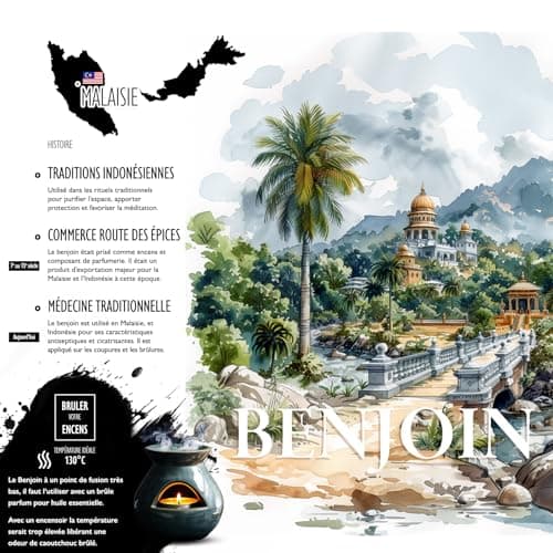 Encens Naturel - Bonheur - Purification - Protection - Protection pour Fumigation Brule Parfum ou encensoir (Benjoin Dragon Fly, 100 GR)