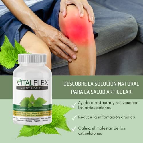 VITALFLEX | Renforce les Os, les Articulations et le Cartilage | Antioxydant Naturel avec Curcuma, Boswellia, Zinc et Vitamine C pour la Formation du Collagène | Complément alimentaire | 30 Gélules