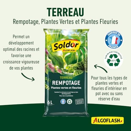 ALGOFLASH Terreau Rempotage Plantes Vertes et Plantes Fleuries, UAB, Prêt à l'Emploi, Fabriqué en France, 6 L,TREMP6