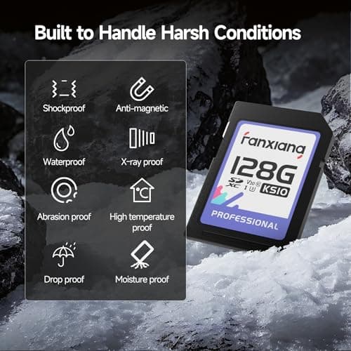 fanxiang Carte mémoire SDXC UHS-I 128 Gox2 (V30, Vitesse de Transfert 100 Mo/s, U3, Vidéos 4K UHD, Résistante à la Température)