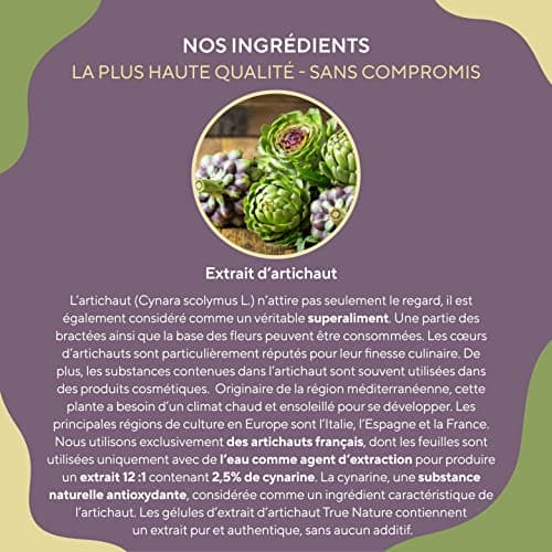 Extrait d'Artichaut Français - 2.400mg par dose avec 2,5% Cynarine - 360 Gélules, Vegan - Confort Digestif, Bien-Être du Foie & Détox - Sans: Additifs, Lactose & Gluten - TRUE NATURE