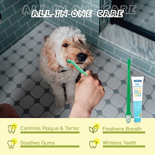 Nobleza - Set Brosse à Dents Et Dentifrice pour Chien, Kit Dentifrice Chien Anti Tartre, Les Chiens Améliore l'hygiène buccale Contient 1 Tubes x 73 g, 1 Brosse à Dents à Double Extrémité, 2 Doigtier