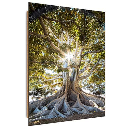 Feeby Image Panneau Déco Arbre 40x60 cm 1 pièce Tableaux Tableau Mural Image Photo Décoration Murale Artistique Photographie Design Chambre Salon Cuisine Feuillage Nature Paysage vert