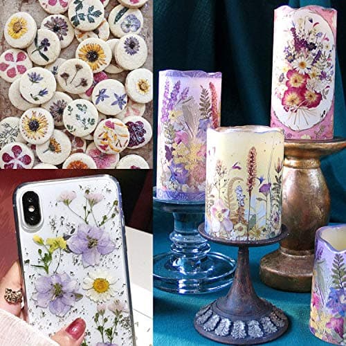 Cinco 90 Pcs Vraies Fleurs et Feuilles Pressées Séchées Pétales Naturels Séchés pour Bougie Résine Bijoux Savon Pendentif pour Ongles Cas De Téléphone Artisanat (Bleu, Violet, Rose, Vert)