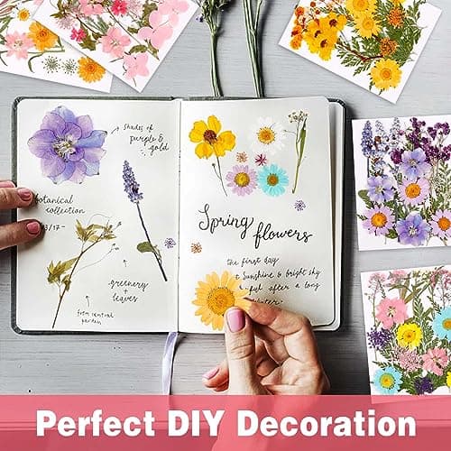5 Paquets de Fleurs Séchées Naturelles, 96 Pcs Fleurs Sechees et Feuilles Séchées Naturelles, Bricolage Fleurs Pressées Séchées Naturelles Decoration pour Carte Scrapbook Art Décors Artisanat