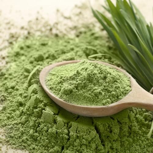 Poudre d'herbe d'orge BIO (500g) | De culture allemande | Qualité alimentaire brute | 100% poudre d'herbe d'orge | Résidus contrôlés | vom-Achterhof