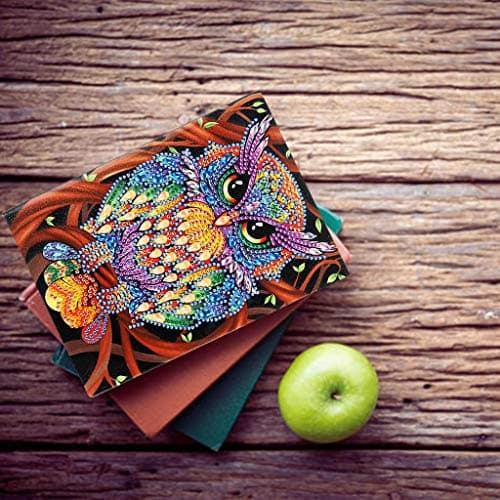 DCIDBEI Carnets A5 Peinture à Diamants Vierges avec Motif Chouette par Numéro A5 Carnet de Croquis Journal Secret Fille Cadeau d'anniversaire pour les Enfants Temps de Loisirs 50 Feuilles 120 Pages