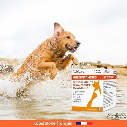 Aphicare - Vitalité - Complexe multivitaminés -Poudre 100 GR - Vitamines - Oligoéléments - Complément Alimentaire Chien et Chat - Fabriqué en France