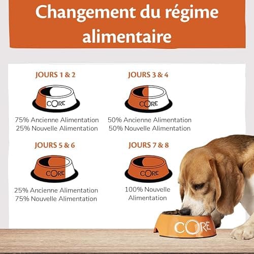 Wellness Core Original, Croquettes pour Chien de Petite Taille, Naturelles et Sans Céréales, Dinde/Poulet, 5 kg