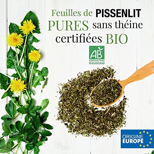 ORIGEENS TISANE PISSENLIT BIO 100g Origine Europe | Infusion pissenlit bio, tisane detox et diurétique | Feuilles de pissenlit bio