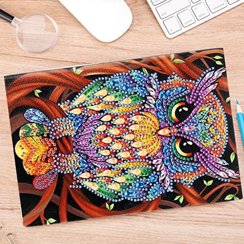 DCIDBEI Carnets A5 Peinture à Diamants Vierges avec Motif Chouette par Numéro A5 Carnet de Croquis Journal Secret Fille Cadeau d'anniversaire pour les Enfants Temps de Loisirs 50 Feuilles 120 Pages