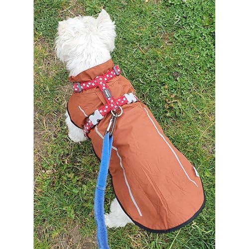 Mile High Life | Imperméable pour Chien | Vêtements pour Animaux de Compagnie Ajustables et Waterproof | Veste de Pluie Légère avec Bande Réfléchissante | Facile à Enfiler (Marron, S)