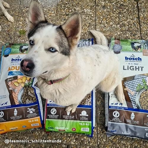 bosch HPC Light - Aliments secs pour chiens en surpoids de toutes races - 1 x 12,5 kg