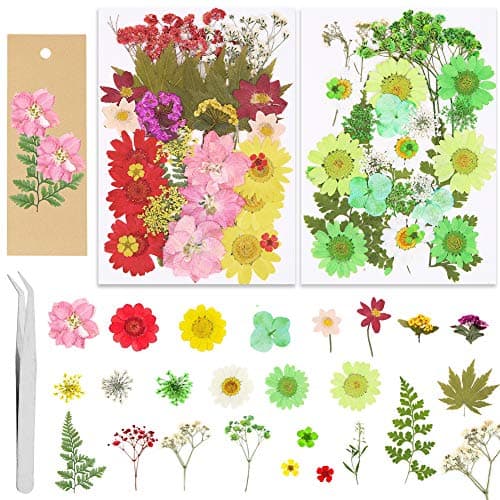 Lot de 65 véritables fleurs séchées pressées avec plusieurs pétales de fleurs séchées avec 5 marque-pages et pince à épiler pour la fabrication de bougies, loisirs créatifs, bijoux en résine, nail art