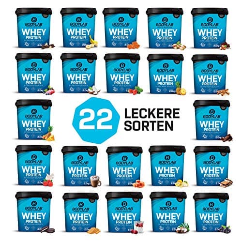 Bodylab24 Whey Protein Powder Noix de coco 1kg, pour des muscles plus forts, protéine de lactosérum peut favoriser la construction musculaire, avec 80% de protéines, sans aspartame