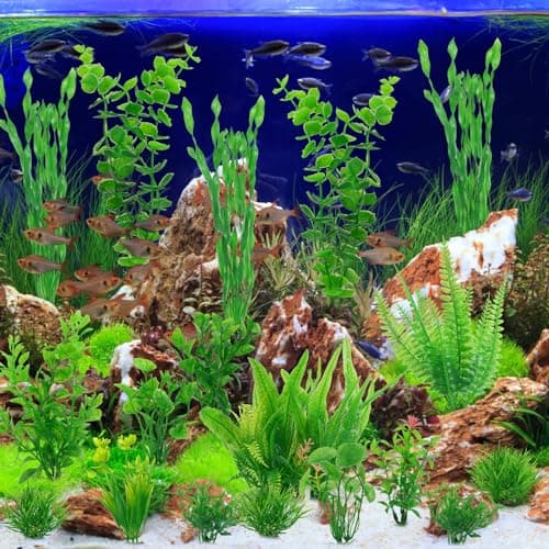 Plante Aquarium, 18 PCS Plante Artificielle d’Aquarium en Plastique, Plante Aquarium Ornement Décorative, Aquarium Vert Plante Décoration et Paysager, Accessoires pour Aquarium, Poisson, Terrarium