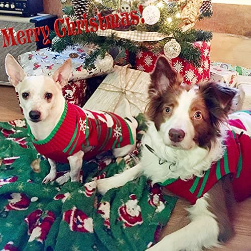 DELIFUR Pull de Neige pour Chien Bonhomme de Neige Noël Nouvel an Pull pour Petits Chiens et Chats (Bonhomme de Neige, XL)