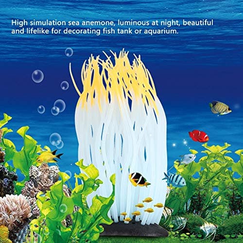 HEEPDD Décoration Artificielle d'anémone de mer de Silicone d'aquarium, matériau de Silicone de réservoir de Poissons d'ornement de Corail d'ornement de mer de simulatio[Orange] Plantes d'ornement