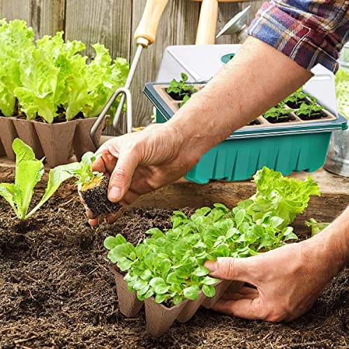 10 Pièces Mini Serre pour Plantes,120 Trous Bac à Semis Biodegradable Pot,Boîte de Culture avec Couvercle et Ventilation Durables,Plateaux de semis Kit de démarrage,Plateau de Semis Hydratant