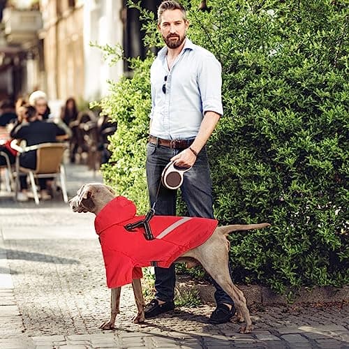 Dolahovy Imperméable pour Chien,Ponchos pour Chiens Veste imperméable pour Chien Vêtements de Pluie réglables pour Animaux de Compagnie avec Capuche pour Les Petits Chiens Moyens (XL, Rouge)