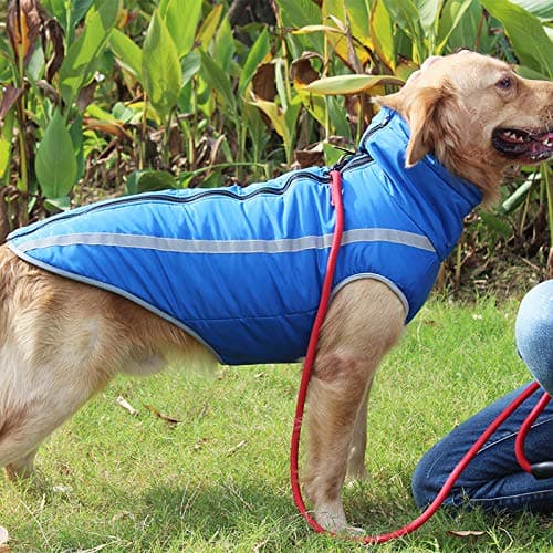 Idepet Manteau de Chien imperméable Veste Chaude d'hiver, vêtements pour Animaux de Compagnie Coupe-Vent Tenue de Veste de Chien pour Petits Chiens de Taille Moyenne avec Trou de Harnais XL-6XL