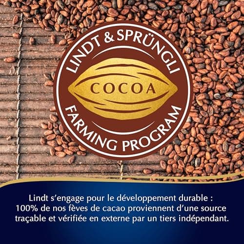 Lindt - Boîte CHAMPS-ÉLYSÉES Édition Triomphe - Assortiment de Chocolats au Lait, Noirs et Blancs - Idéal pour Noël, 460 g