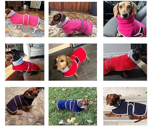 Geyecete Manteau d'hiver en Polaire pour Teckel Pull pour Chiens Chaud à col Montant Veste pour Chiot,pour Chiens de Petite et Moyenne,avec Ceinture réglable-Gris-S