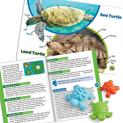 Learning Resources Kit d’activités mathématiques des tortues tactiles , apprentissage des nombres petite enfance, objets de tri mathématiques pour enfants, jouets de tri des couleurs, Montessori