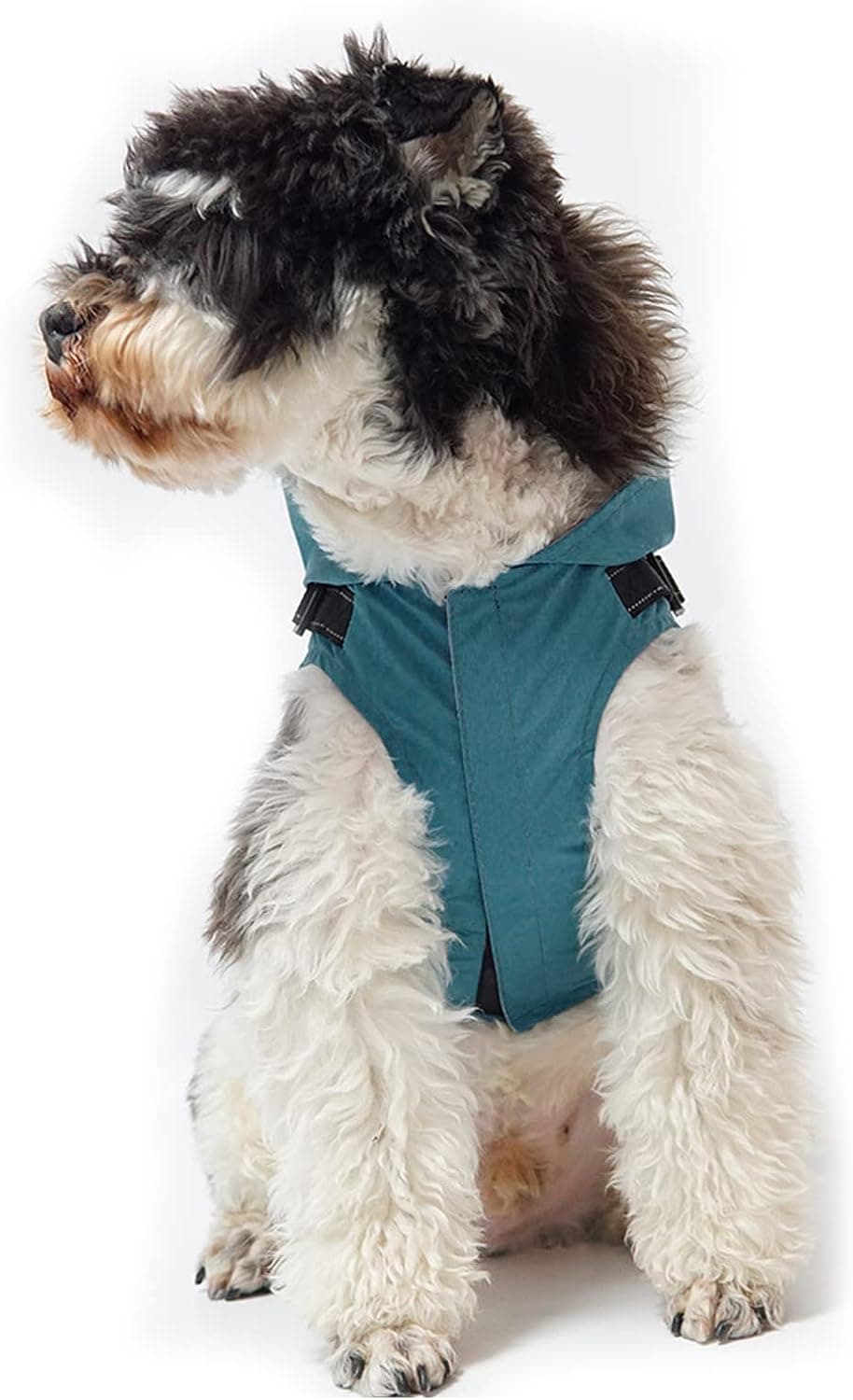 PETCUTE Manteau avec Harnais, avec Capuchon, 100% étanche, Coupe-Vent, avec Bandes Réfléchissantes, Respirant