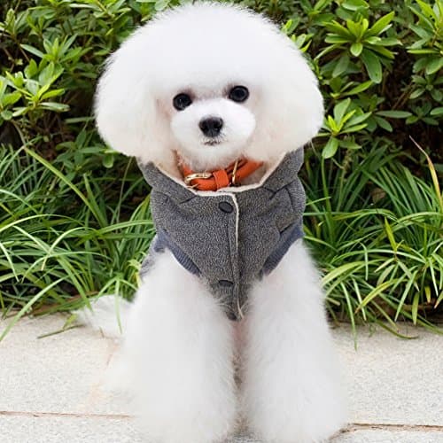 Selmai Manteau à capuche élégant pour petits chiens, vêtements pour chiens (Ce style est petit, veuillez choisir une taille plus grande)