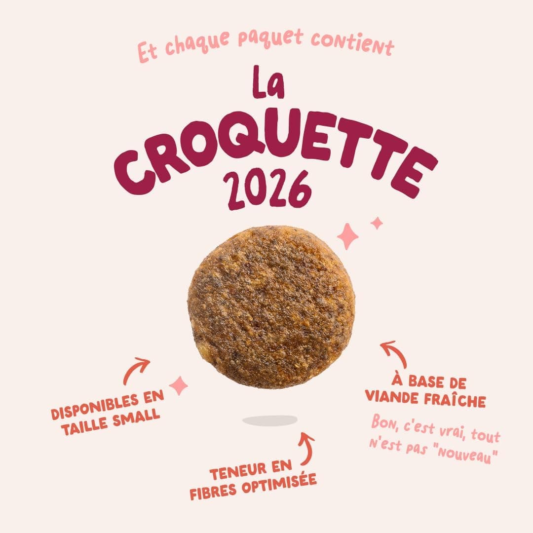 Edgard & Cooper Croquettes Chien Senior, (Poulet & Saumon, 2.5kg), Viande et poisson frais et protéines de qualité, Vrais ingrédients pour chiens, Hypoallergénique, Sans sucres ajoutés