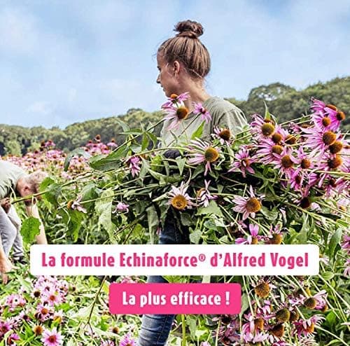 A.VOGEL-Echinaforce® – Complément alimentaire – Renforce le système immunitaire et santé de l'appareil respiratoire - Extrait de plante Fraîche d’Echinacée Bio – Solution buvable 100ml