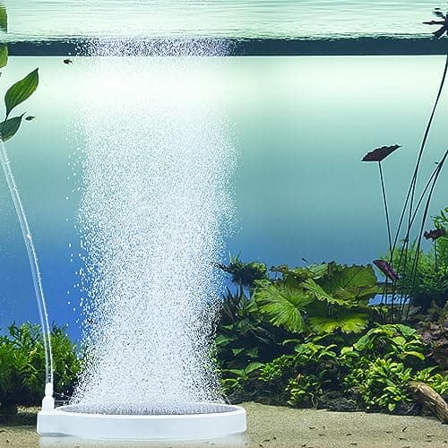 boxtech Pierre à air d'aquarium, Diffuseur d'air pour Aquariophilie, Lissous Laisse de Super Petites Bulles pour Aquarium et hydroponique (100 mm)