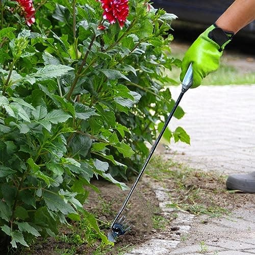 JINGAN Désherbeur en acier inoxydable | Débroussailleuse manuelle en acier inoxydable avec 4 dents | Accessoires d'entretien du jardin antirouille, râteau et houe pour jardin