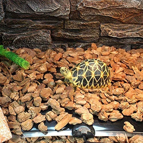 PeSandy Tapis Chauffant Reptile, 2 PIÈCE Tapis Chauffant Terrarium Réglable avec Contrôle De La Température pour Reptiles Tortue, Serpents, Lézards, Geckos - Tapis De Sécurité pour Aquarium (42x28CM)