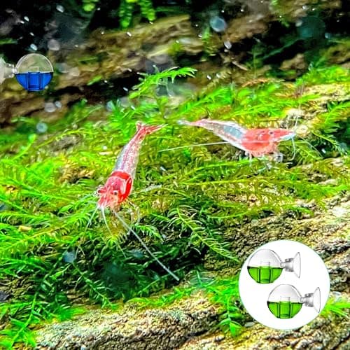 Heveer Moniteur de CO2 pour Aquarium avec Ventouse Test de CO2 pour Aquarium Drop Checker CO2 en Verre pour Aquarium d'eau Douce 2 Pièces