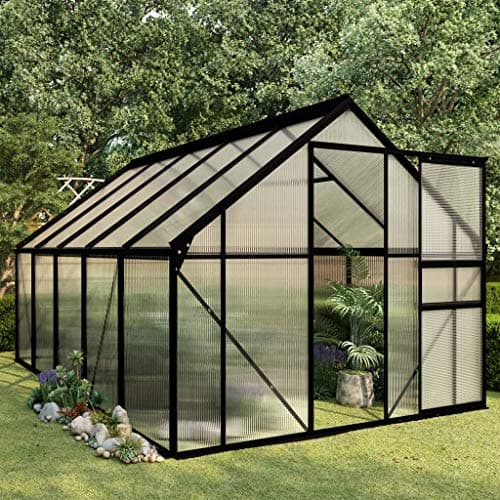 Festnight Serre de Jardin Tente pour Plantes en Aluminium Résistance aux UV Anthracite 5,89 m2